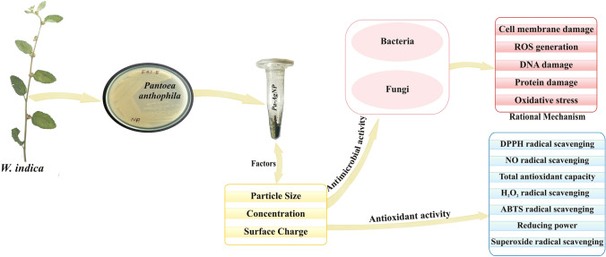 Fig. 14