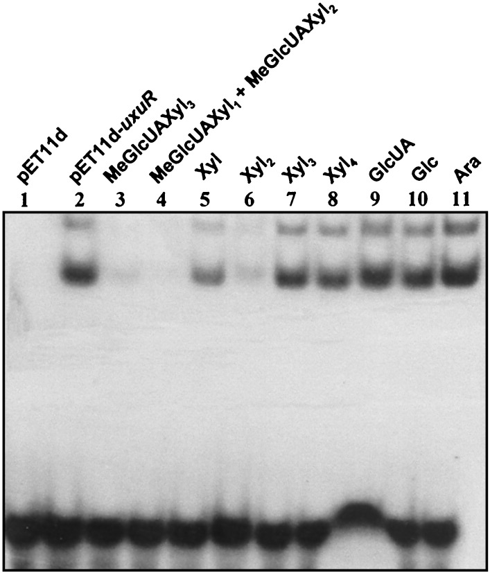 FIG. 5