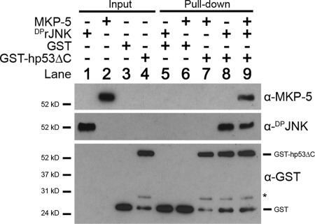 FIGURE 9.