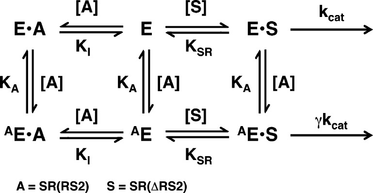 Scheme 3