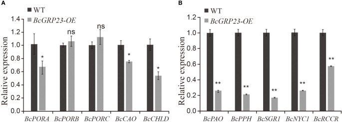 Figure 6