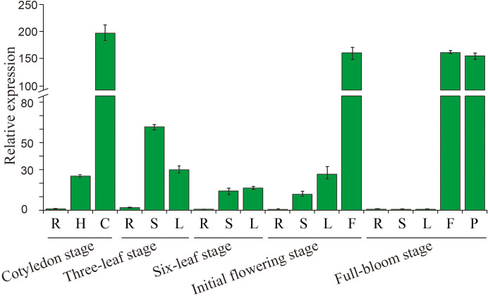 Figure 3