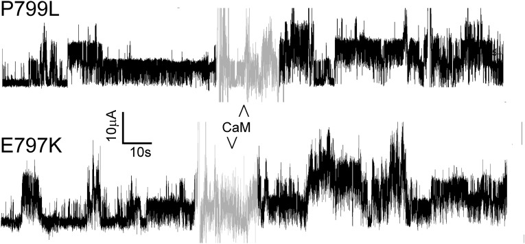 Fig. S1.