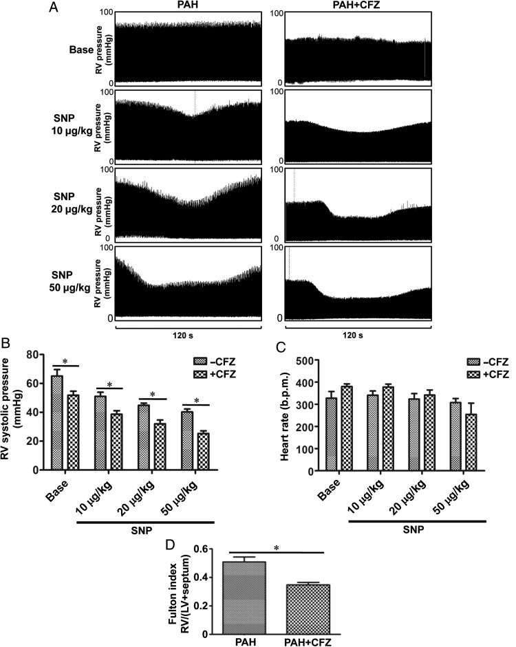 Figure 6