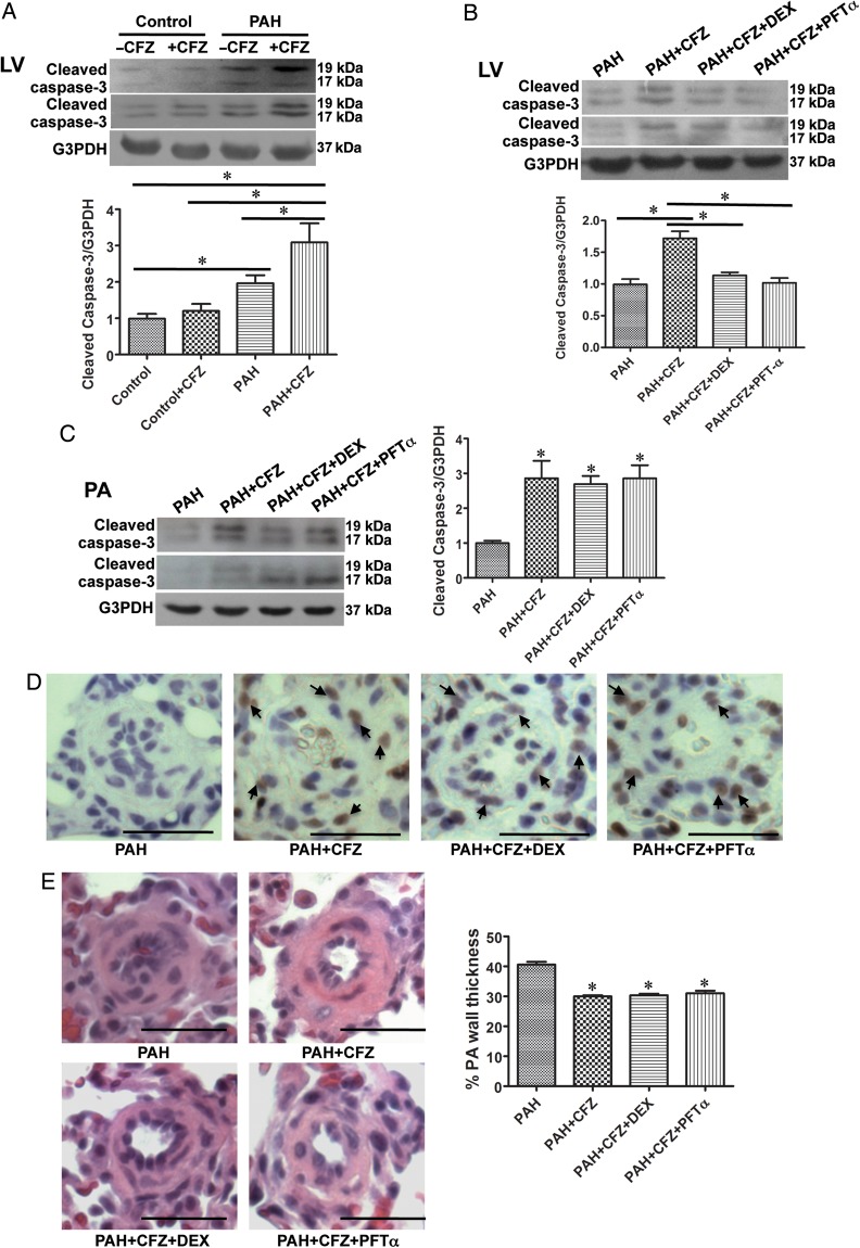 Figure 7