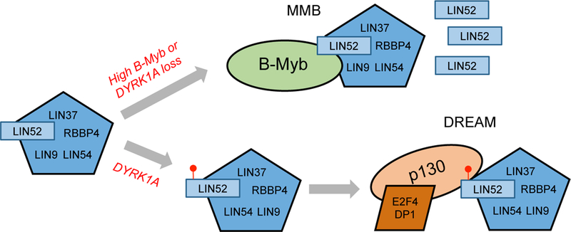 Figure 7: