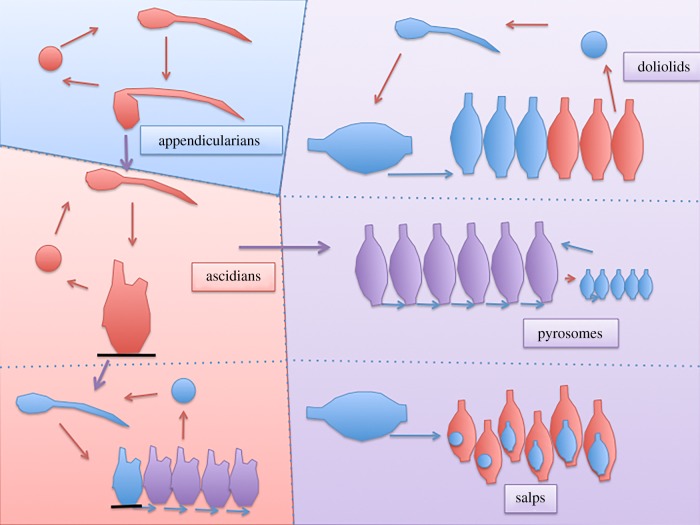 Figure 3.