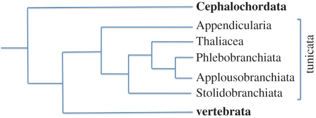 Figure 2.