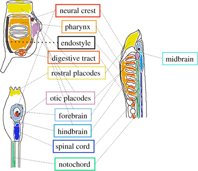 Figure 4.