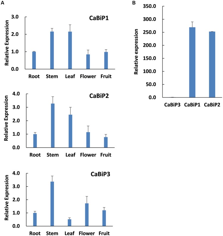 FIGURE 3