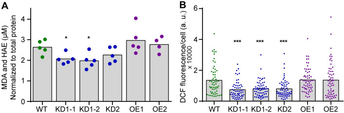 Fig 2