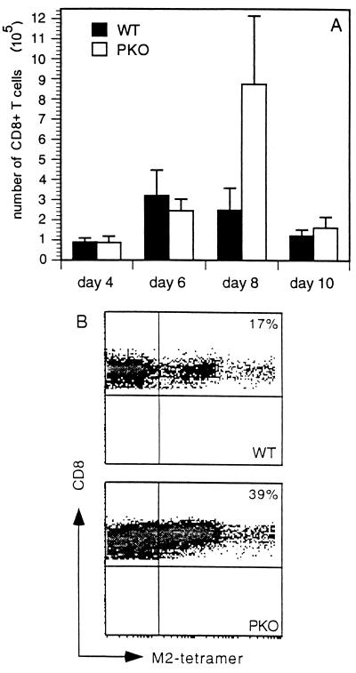 FIG. 7