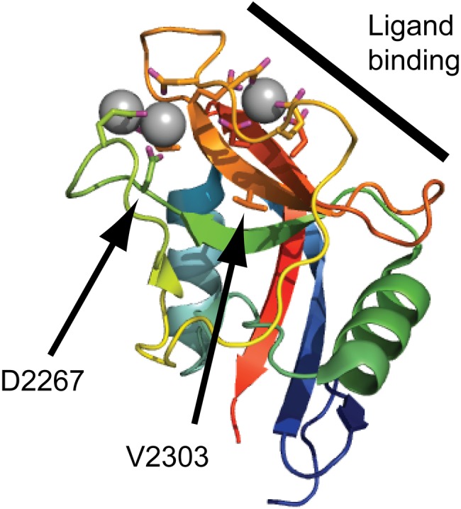 Figure 5.