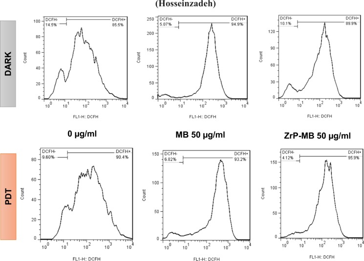 Figure 10