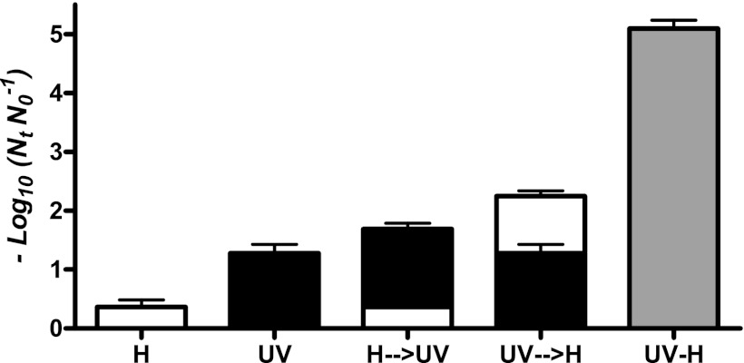 Fig 5