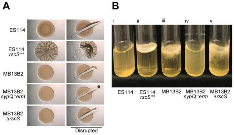 Fig. 5.