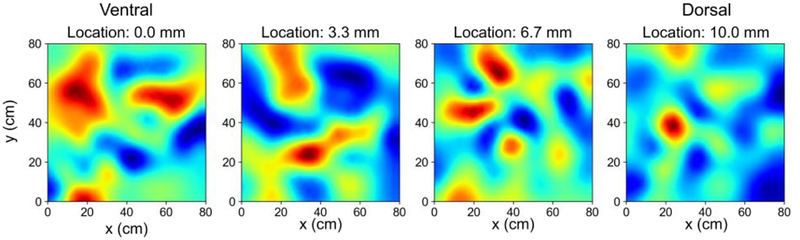 Fig. 2.