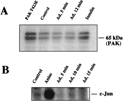 FIG. 8