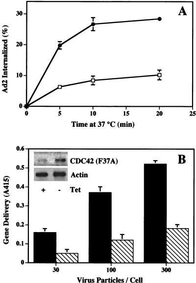 FIG. 7