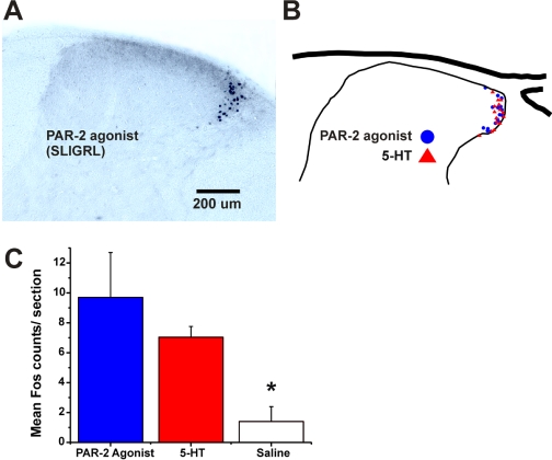 Fig. 8.