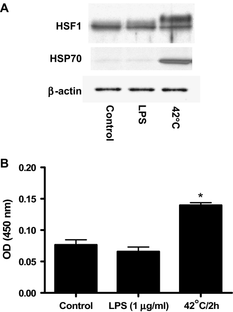 Fig. 7