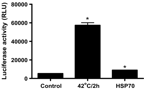 Fig. 8