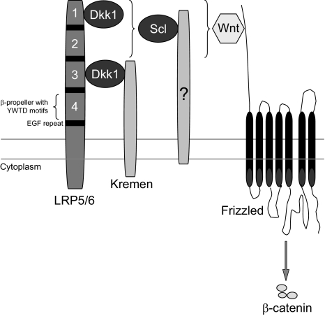 Fig. 3