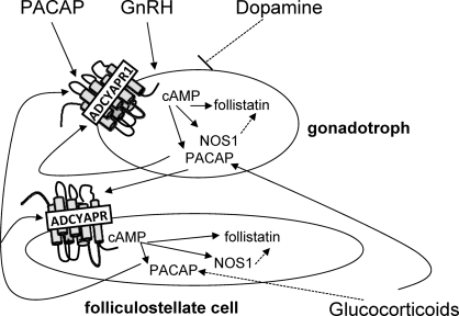 FIG. 4.