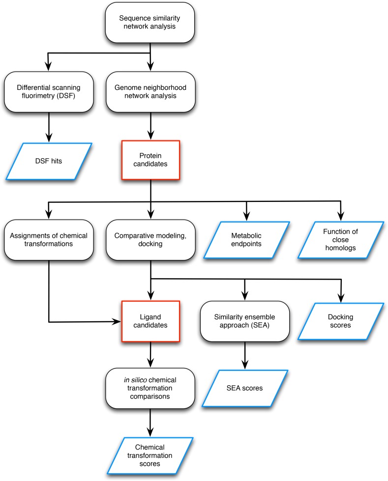 Figure 1—figure supplement 1.