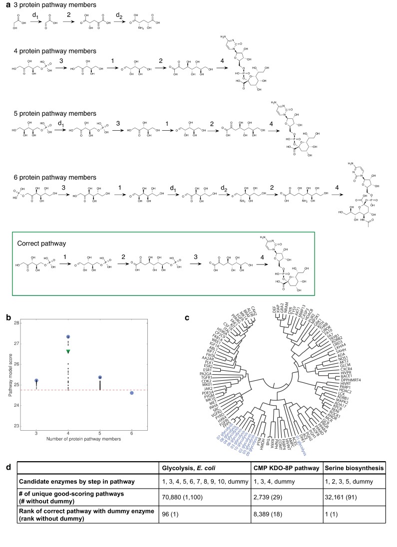 Figure 2—figure supplement 1.