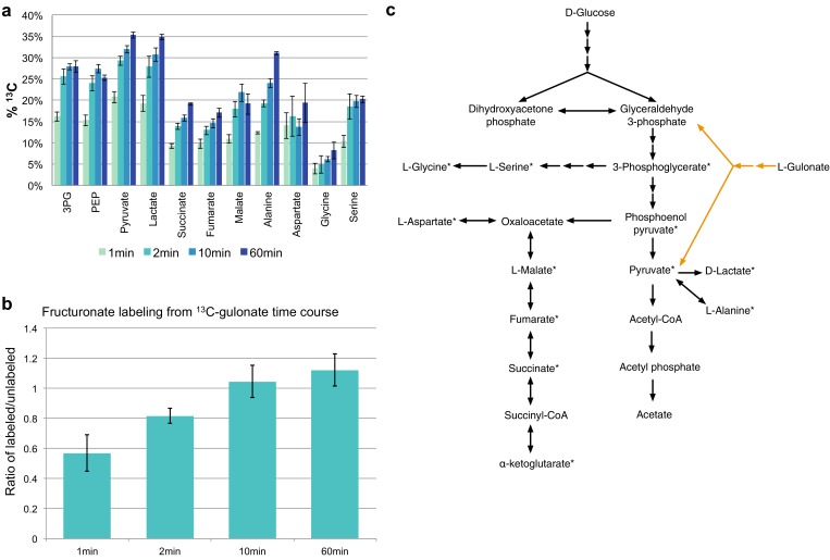 Figure 4—figure supplement 1.