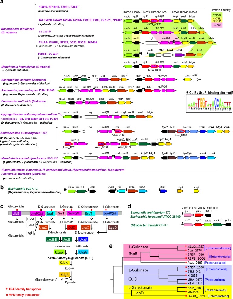 Figure 4—figure supplement 2.