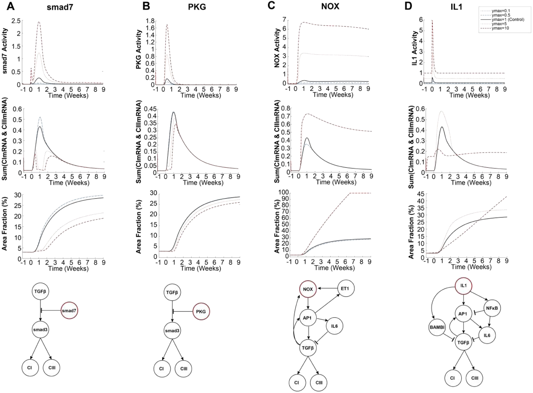 Figure 6: