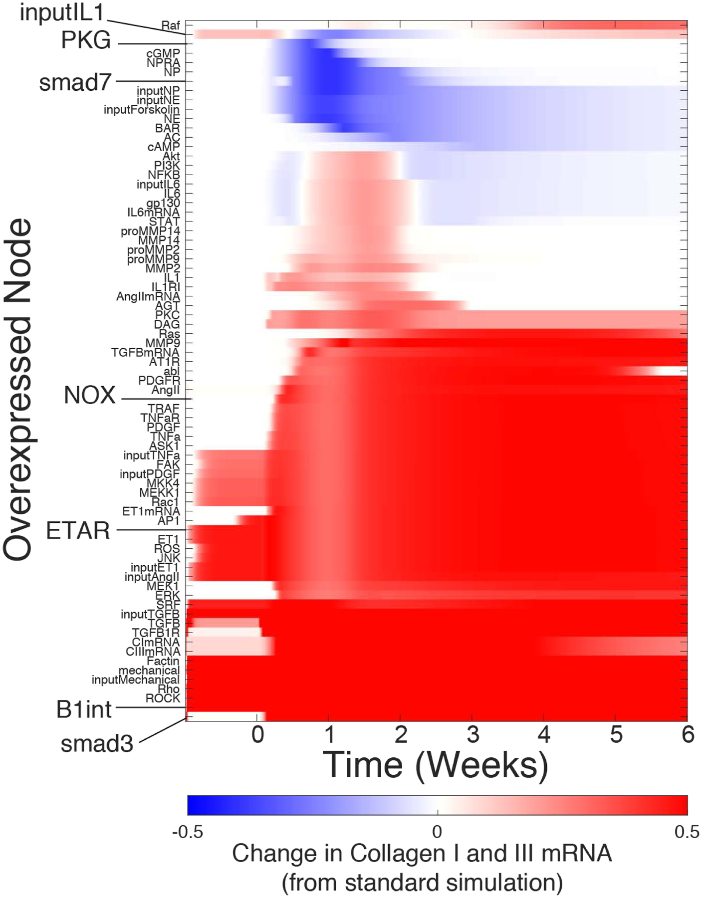 Figure 5: