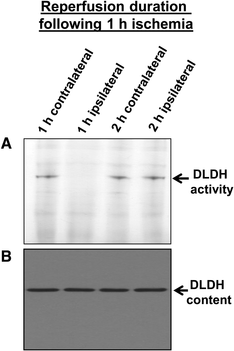 FIG. 6.