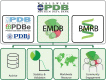 Graphical Abstract