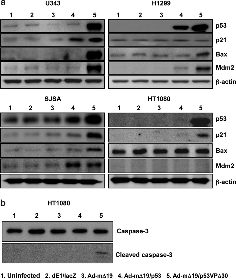 FIG. 6.