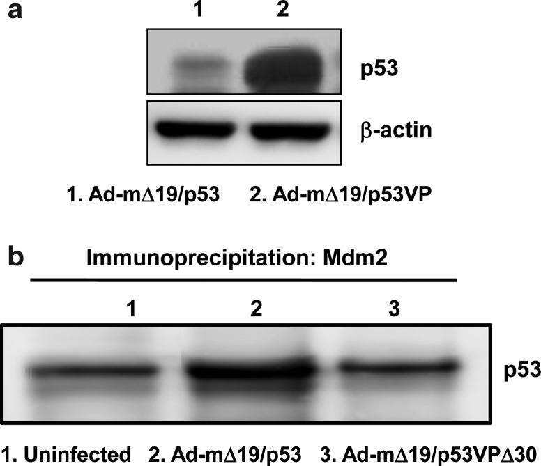 FIG. 7.