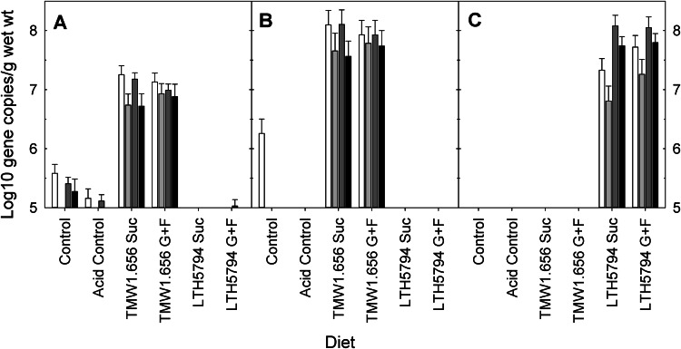 FIG 2