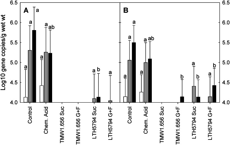 FIG 3