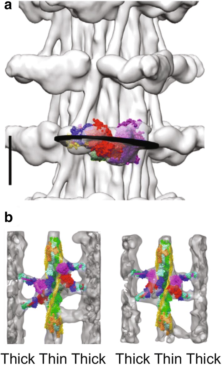 Fig. 5