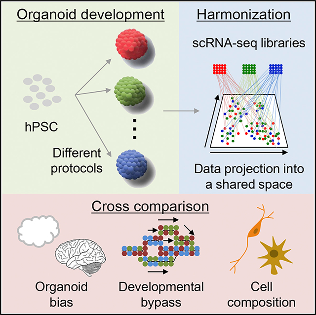 graphic file with name nihms-1560133-f0001.jpg