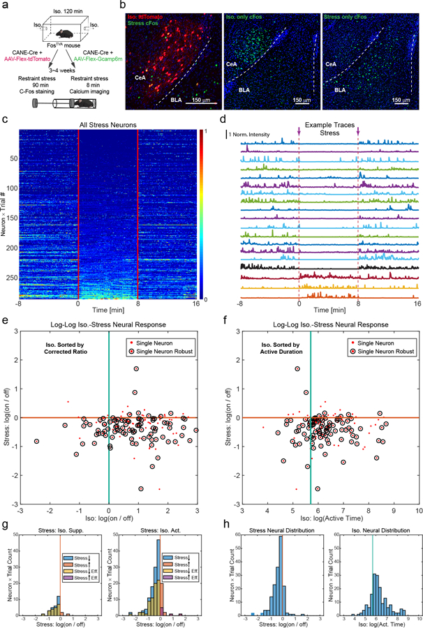 Extended Data Fig. 3