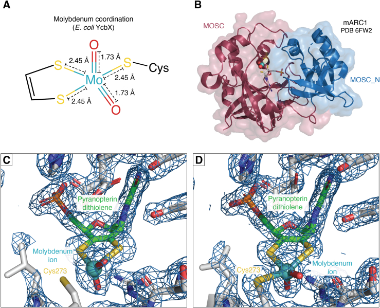 Figure 4