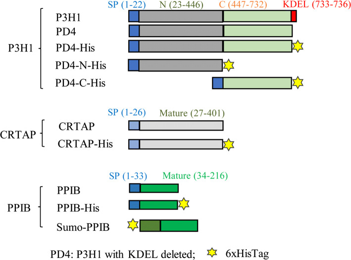 Fig. 1