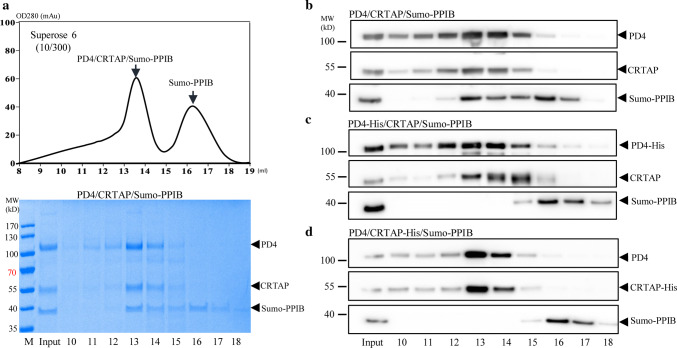 Fig. 3