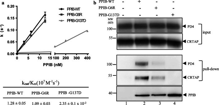 Fig. 7