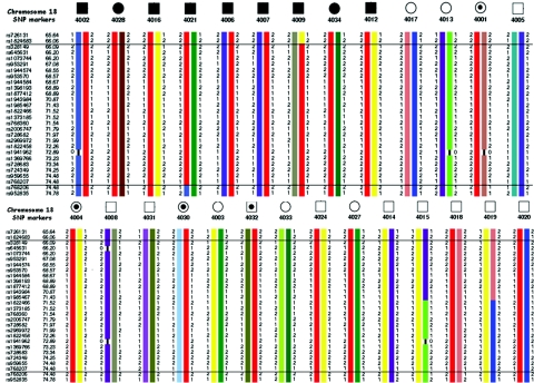 Figure  3. 