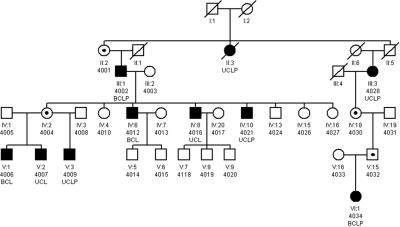 Figure  1. 