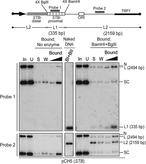 FIG. 7.